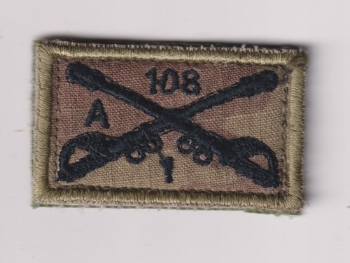108th cavalry 1st bn - co,